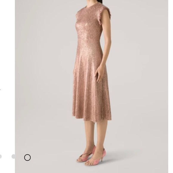 St John’s Sequin Knit Cap Sleeve Fit & Flare Dress W/ Fringe Trim Detail - Lined - Picture 4 of 9